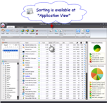 Application View